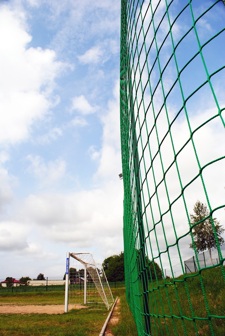 他们在关键 他们在关键