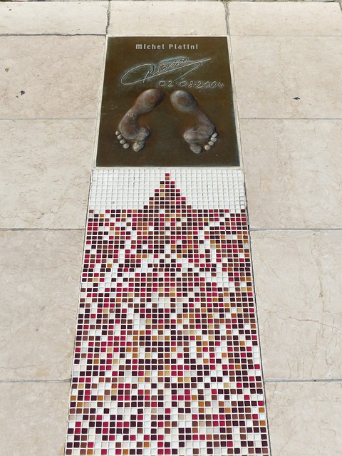 了球迷的目 了球迷的目