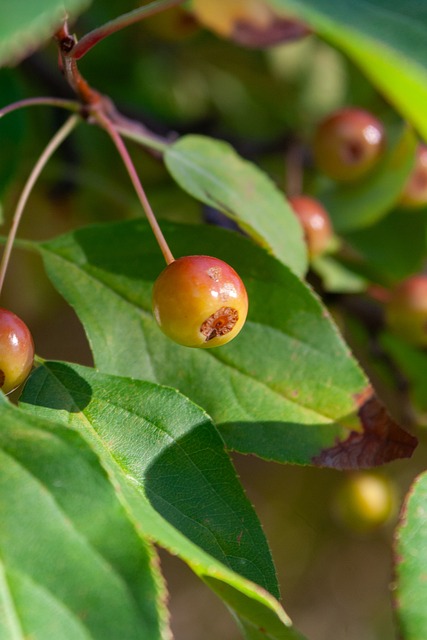 供更便宜且 供更便宜且