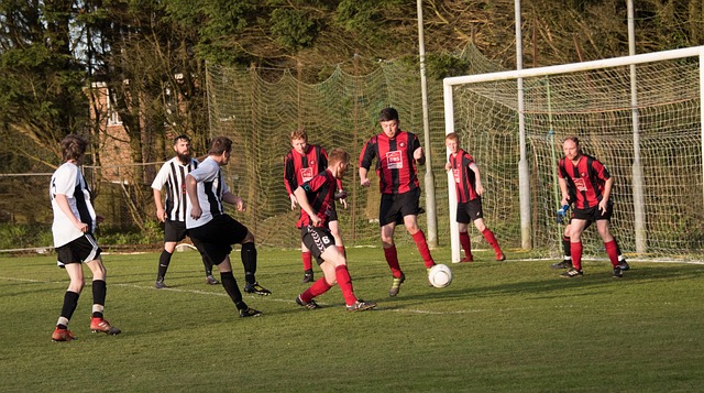 成为众多豪 成为众多豪