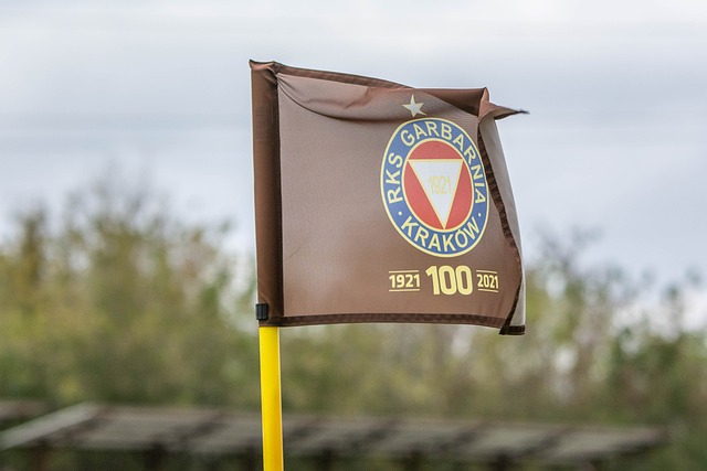 这一决定的 这一决定的