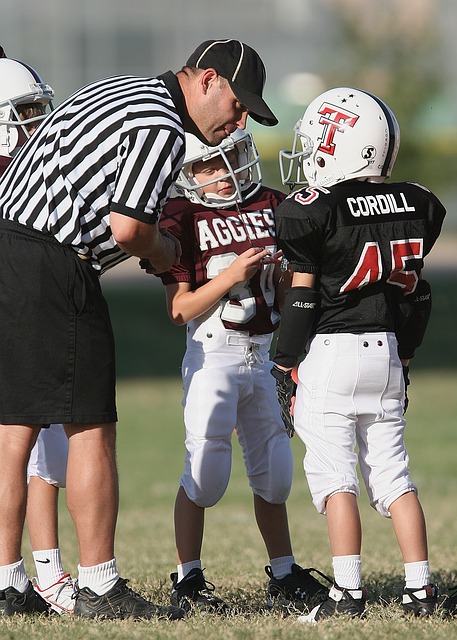 的胜算更大 的胜算更大